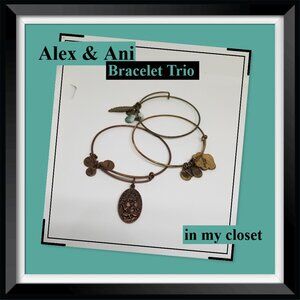 Alex & Ani Boho Bracelet Trio